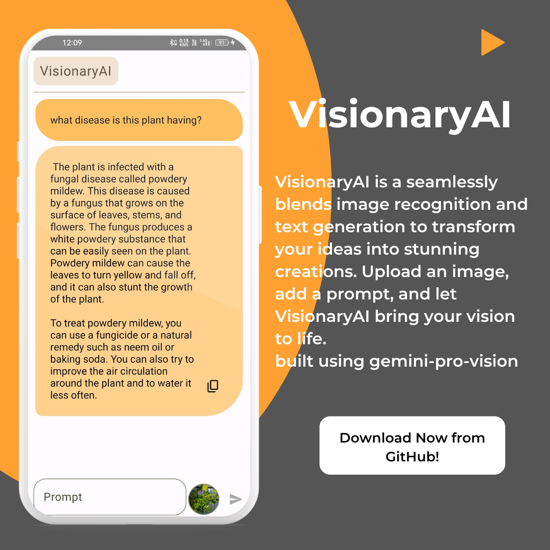 VisionaryAI